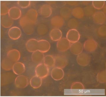 Micro-capsules de ZnO dopé par un colorant