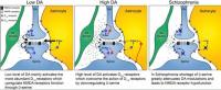  article_PNAS_DSerine_JPMothet