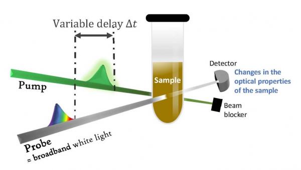 Illustration of the pump-probe transient absorption spectroscopy