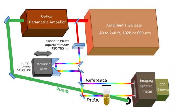 Transient optical absorption setup