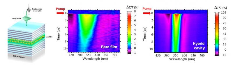 Hybrid plasmonic-photonic cavity: sample scheme and results